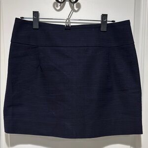 Classic Navy Women's Skirt